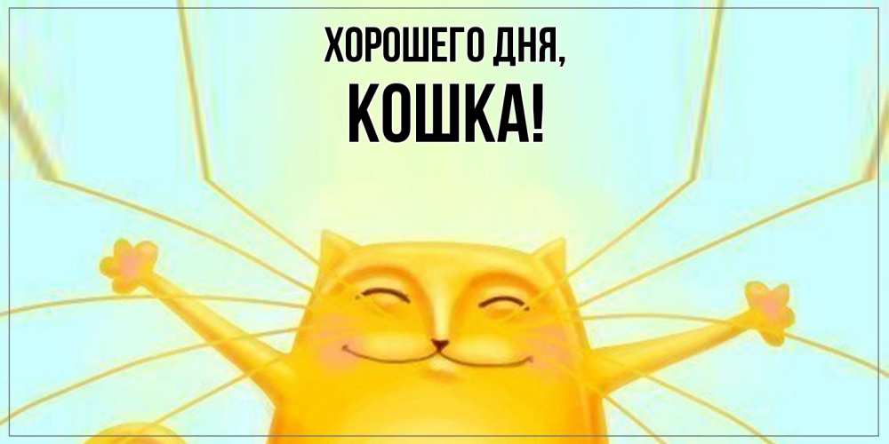 Открытка  для любимых и родных. кошка, Хорошего дня  