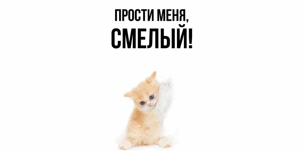 Картинка Прости меня, смелый