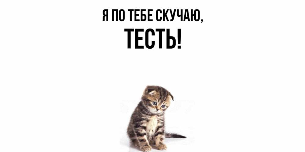 Открытка  для любимых и родных. Тесть, Я по тебе скучаю  