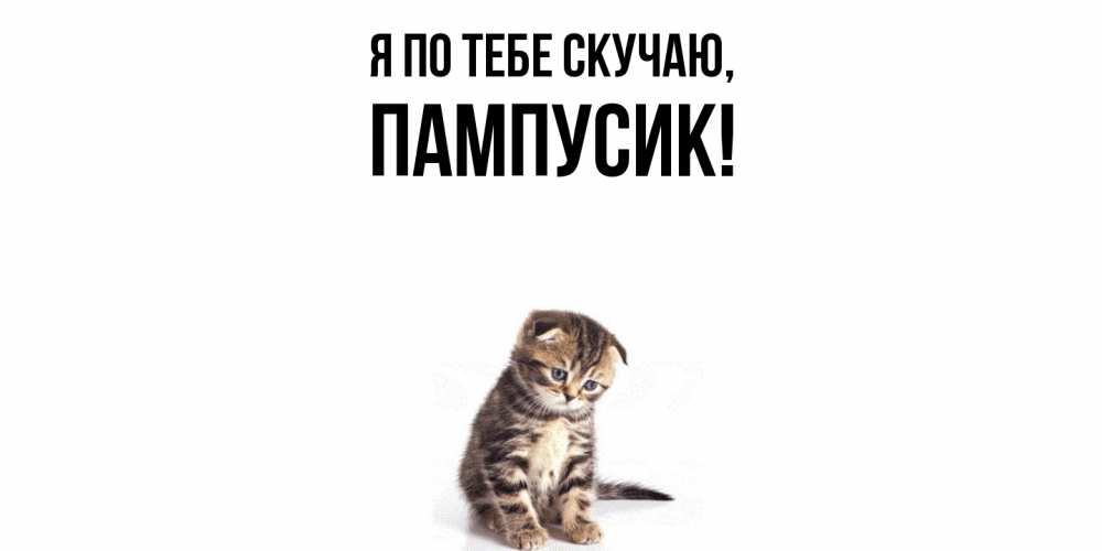 Открытка  для любимых и родных. пампусик, Я по тебе скучаю  