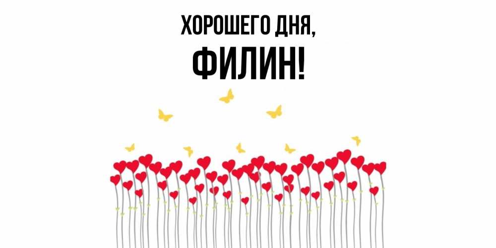 Открытка  для любимых и родных. филин, Хорошего дня  