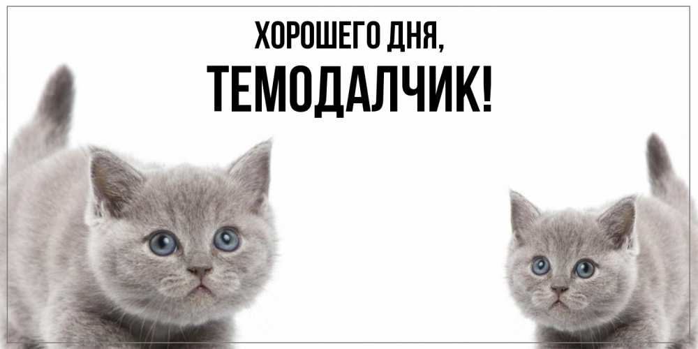 Открытка  для любимых и родных. темодалчик, Хорошего дня  