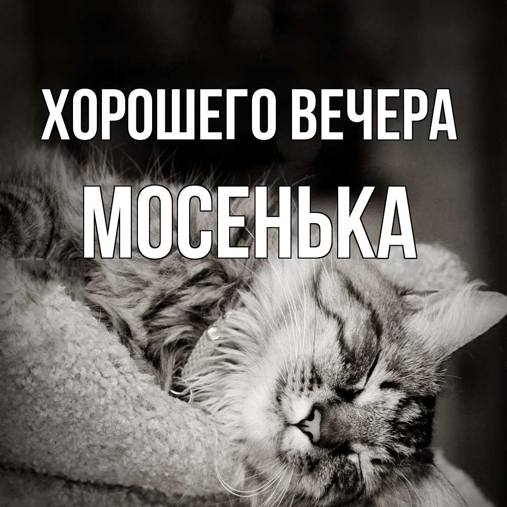 Открытка  для любимых и родных. мосенька, Хорошего вечера  