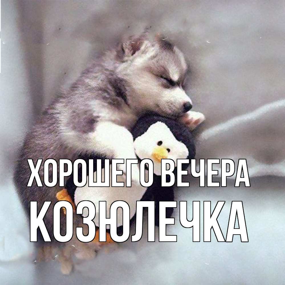 Картинка Хорошего вечера, козюлечка