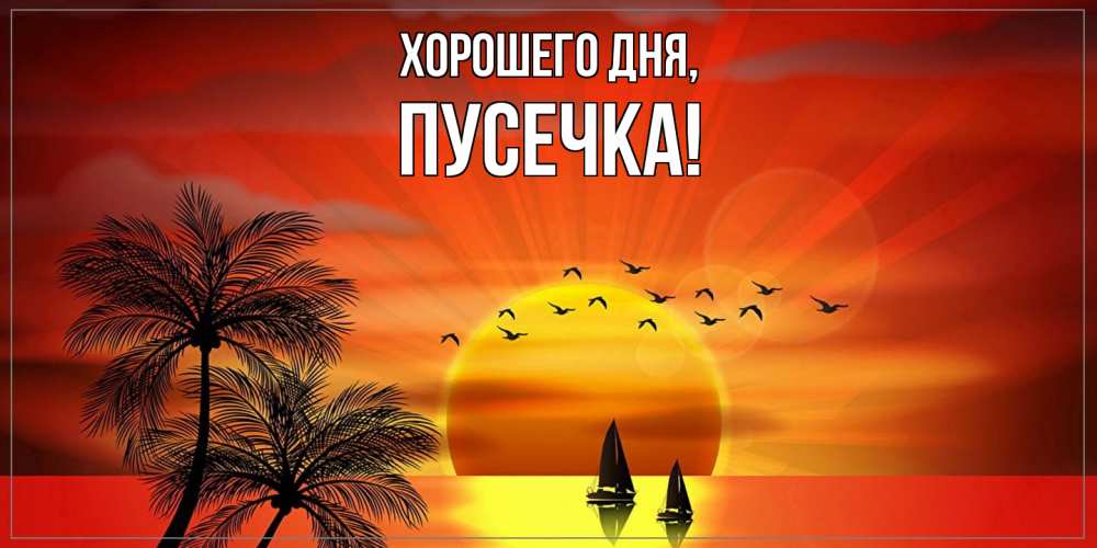 Открытка  для любимых и родных. пусечка, Хорошего дня  