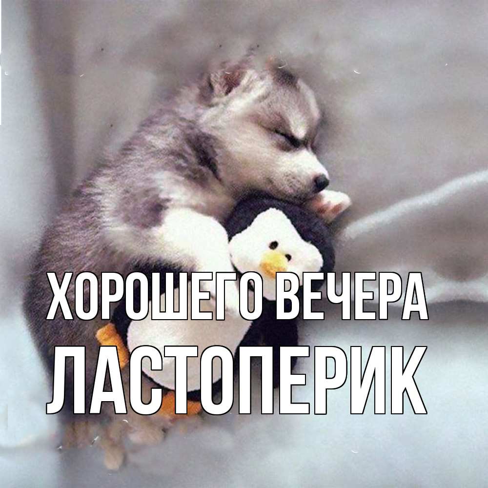 Открытка  для любимых и родных. ластоперик, Хорошего вечера  