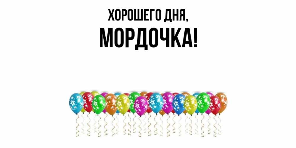 Открытка  для любимых и родных. мордочка, Хорошего дня  