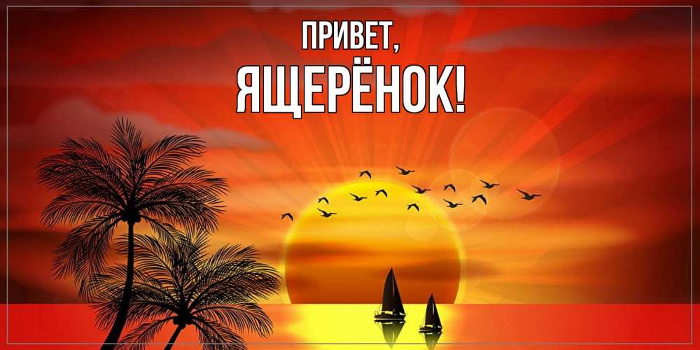 Открытка  для любимых и родных. ящерёнок, Привет  