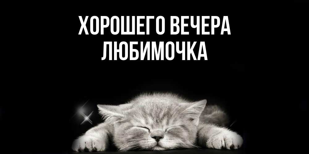 Открытка  для любимых и родных. любимочка, Хорошего вечера  