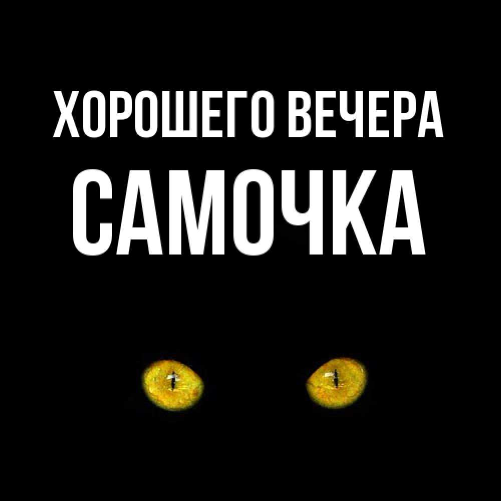 Открытка  для любимых и родных. самочка, Хорошего вечера  