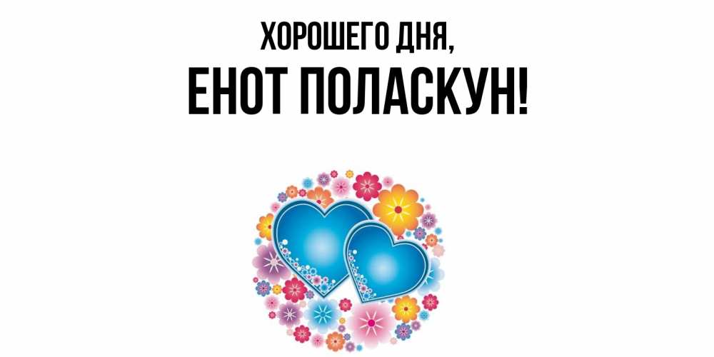 Открытка  для любимых и родных. енот, Хорошего дня  