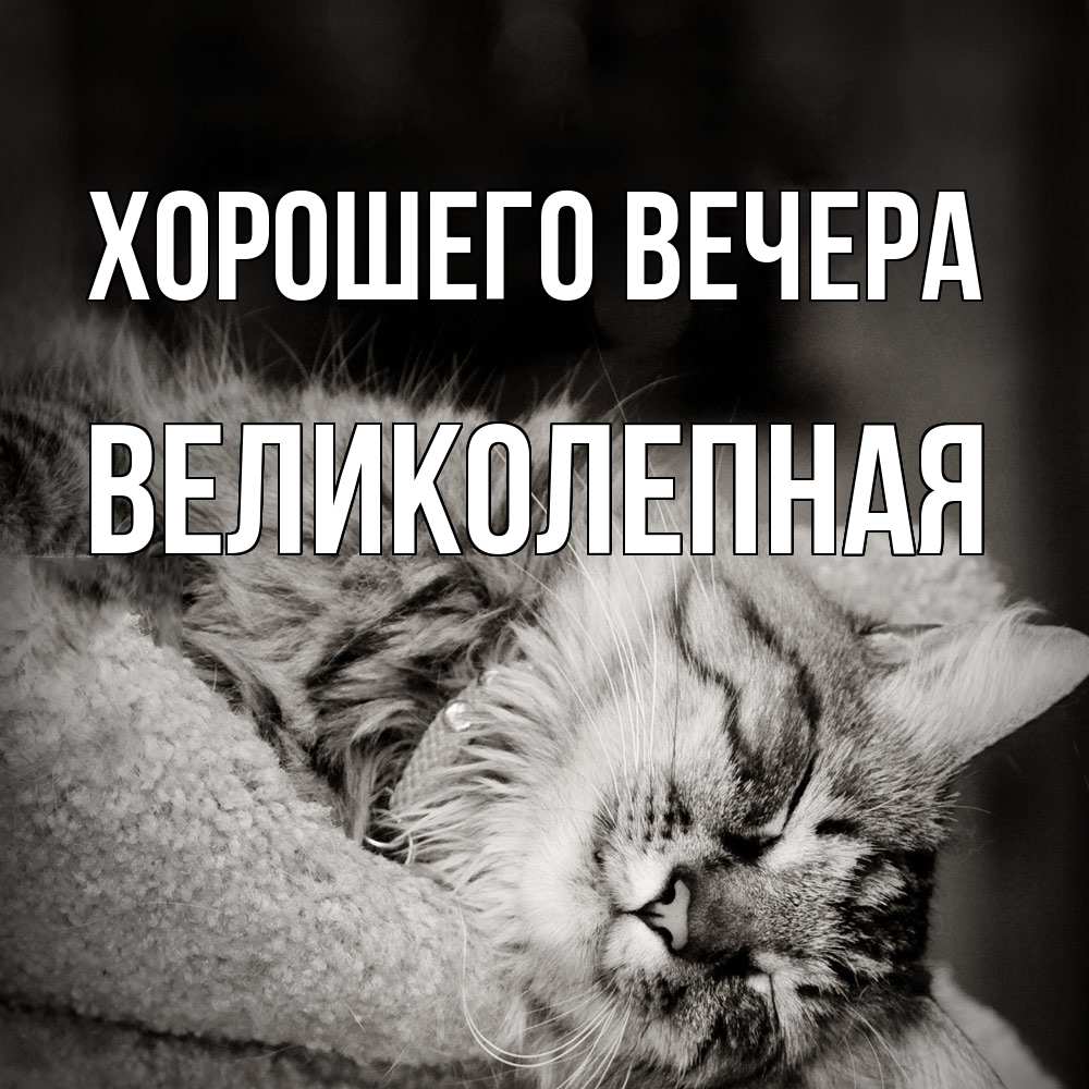 Открытка с именем, великолепная, Хорошего вечера