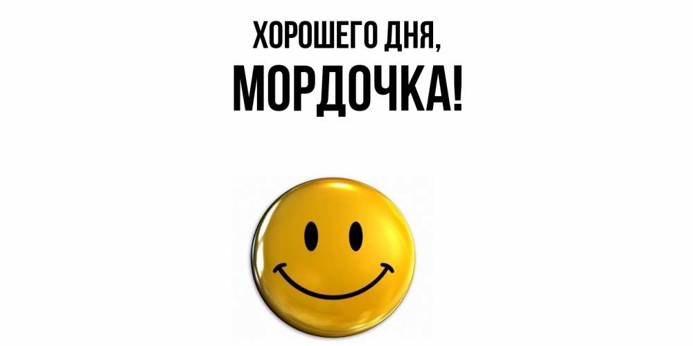 Открытка  для любимых и родных. мордочка, Хорошего дня  