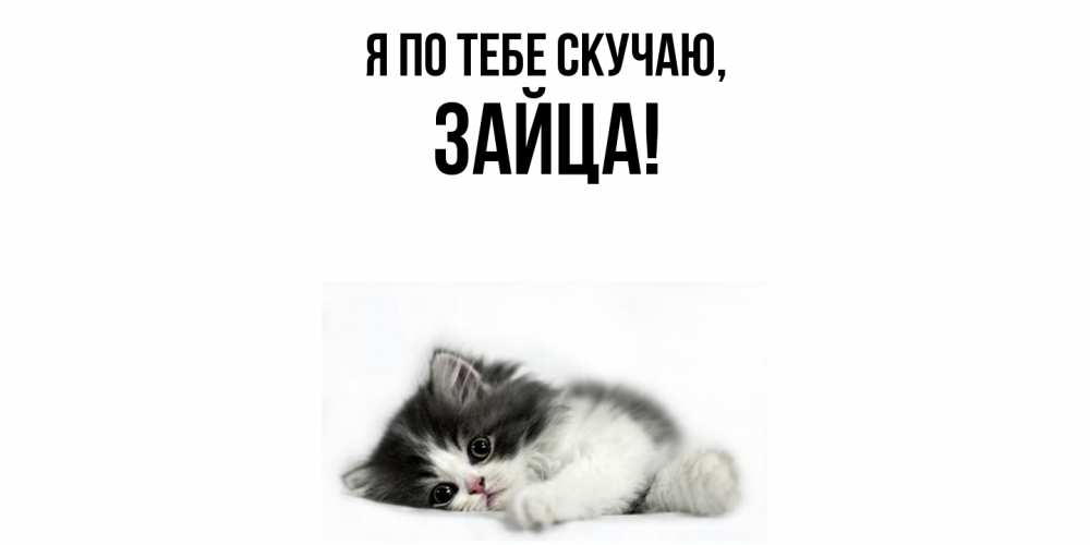 Открытка  для любимых и родных. зайца, Я по тебе скучаю  