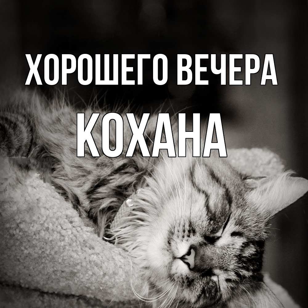 Открытка  для любимых и родных. кохана, Хорошего вечера  
