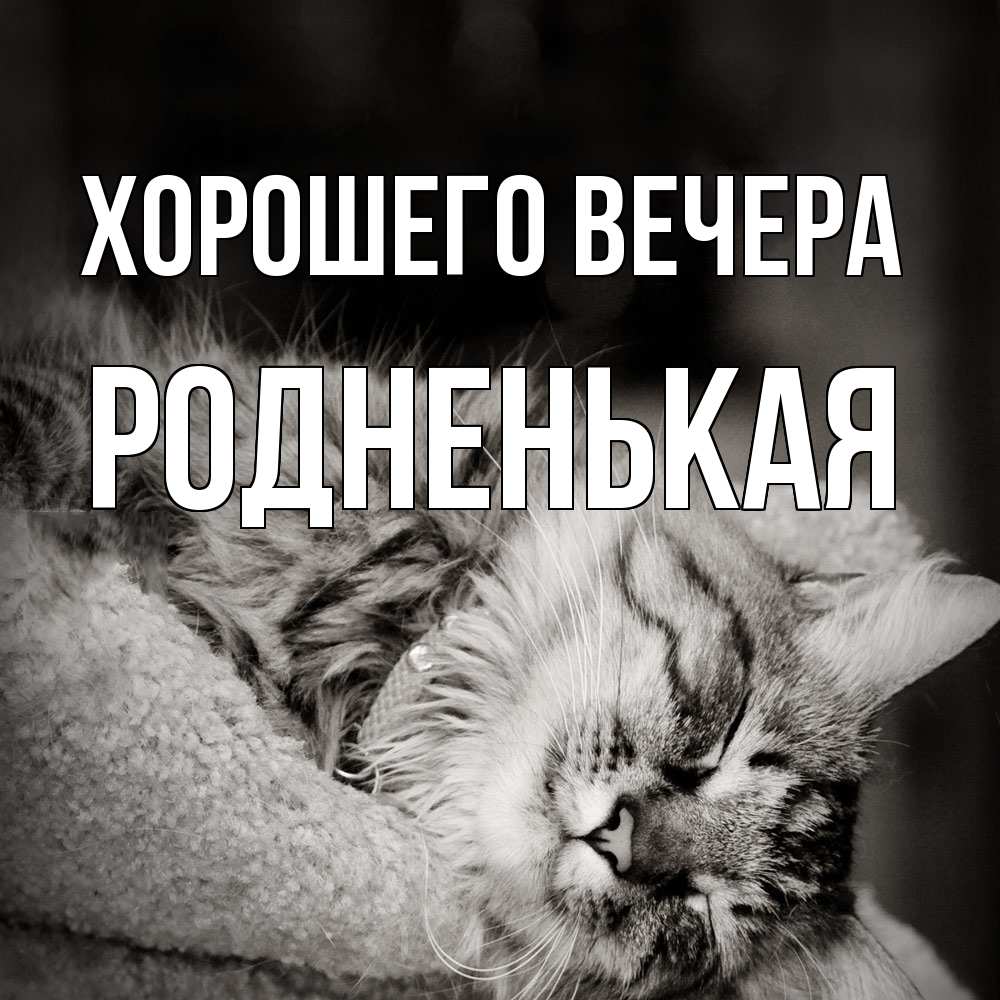 Картинка Хорошего вечера, родненькая