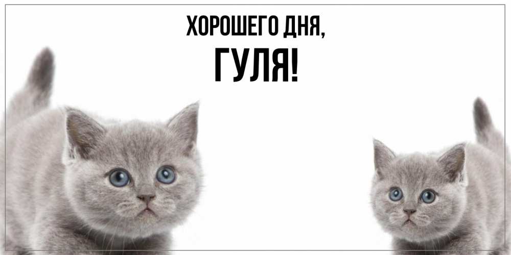 Картинка Хорошего дня, гуля