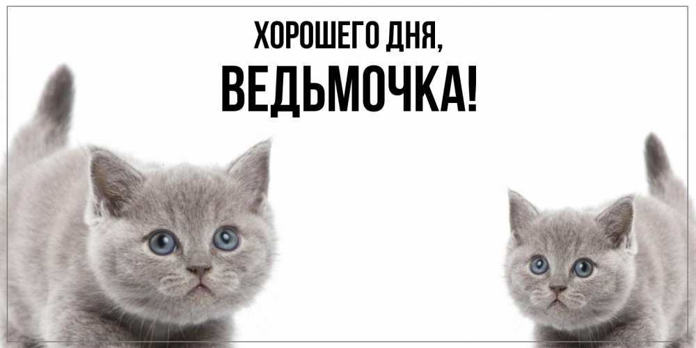 Открытка  для любимых и родных. ведьмочка, Хорошего дня  