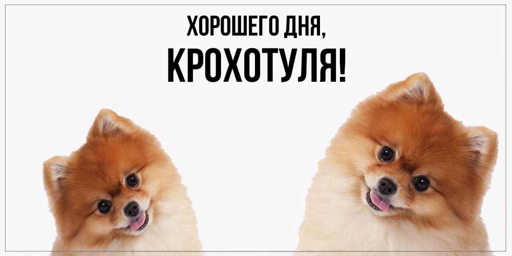 Открытка  для любимых и родных. крохотуля, Хорошего дня  