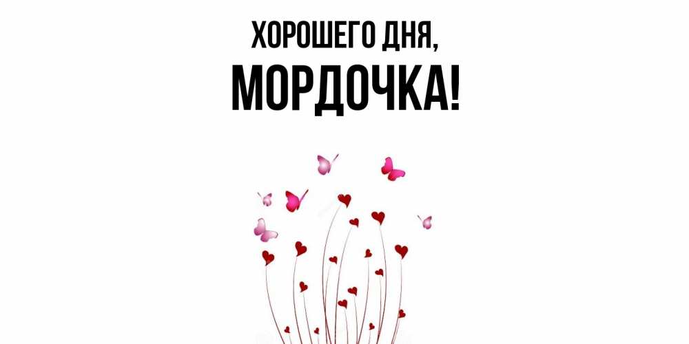 Открытка  для любимых и родных. мордочка, Хорошего дня  