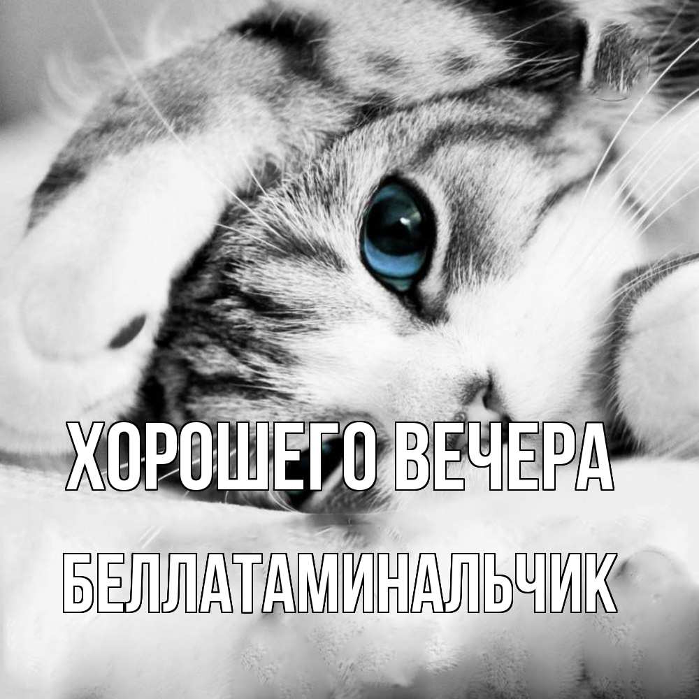 Картинка Хорошего вечера, беллатаминальчик