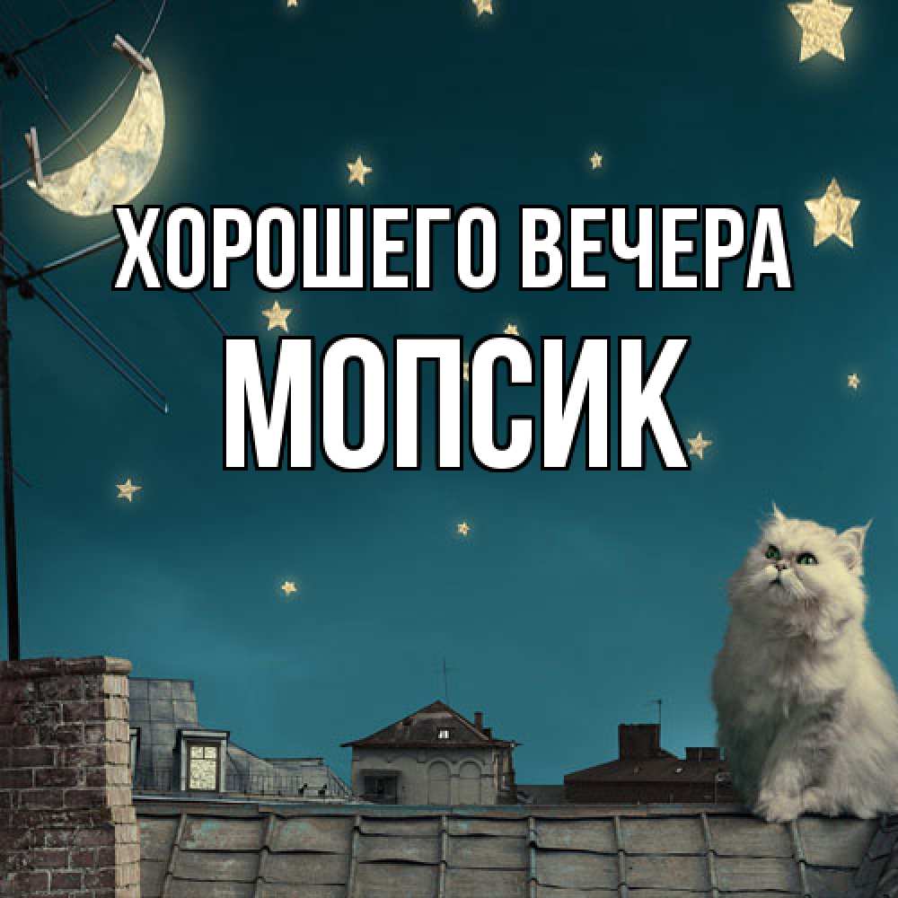Картинка Хорошего вечера, мопсик
