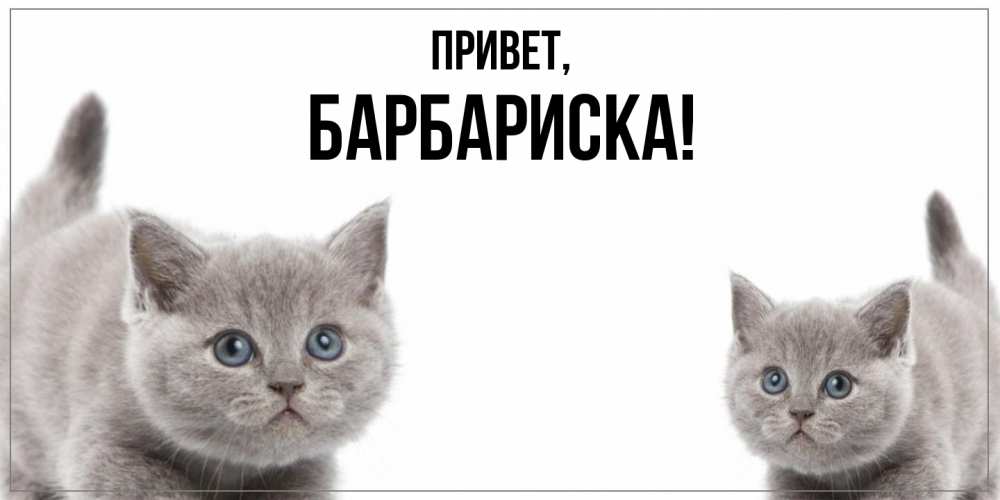 Открытка  для любимых и родных. барбариска, Привет  