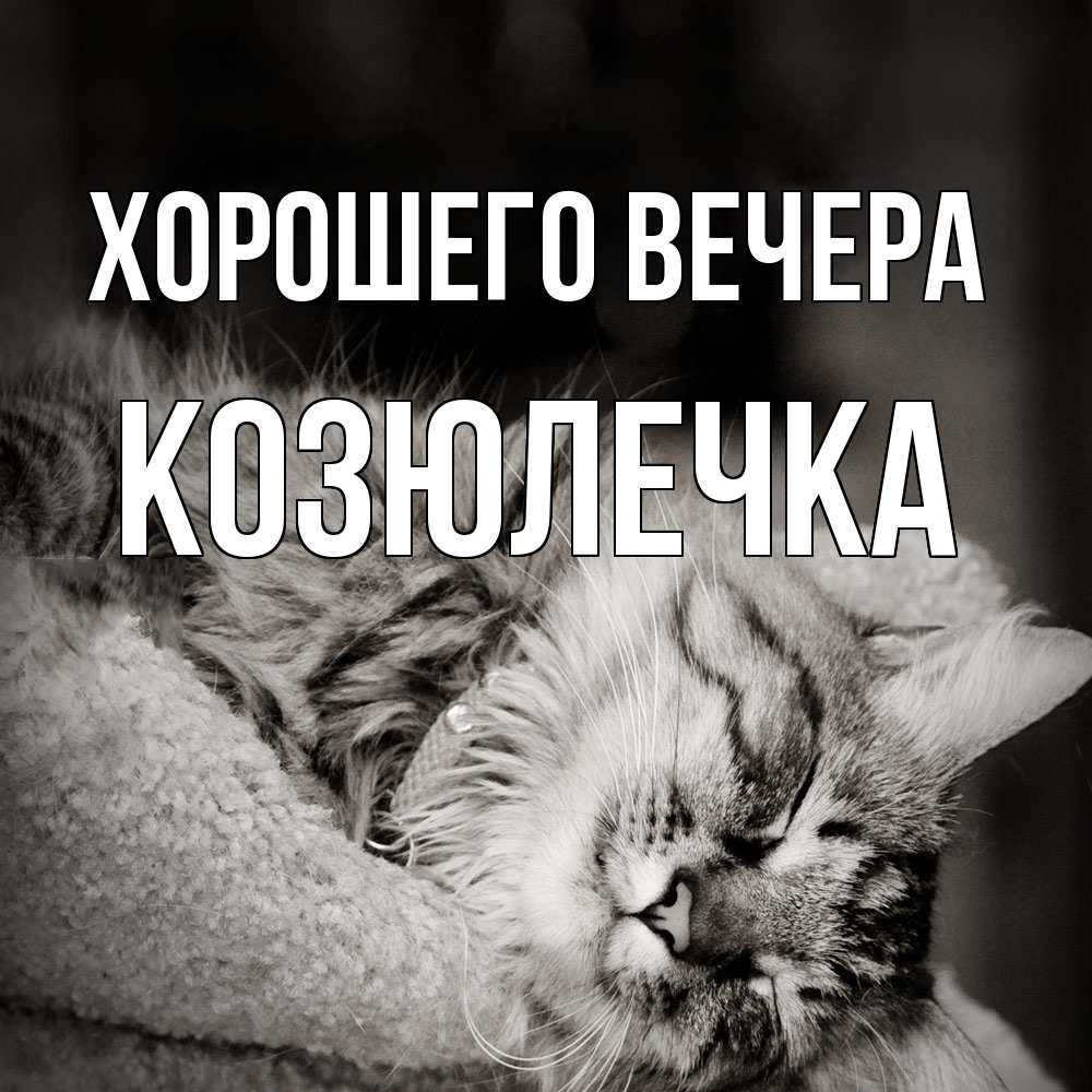 Картинка Хорошего вечера, козюлечка