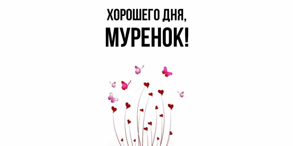 Открытка  для любимых и родных. муренок, Хорошего дня  
