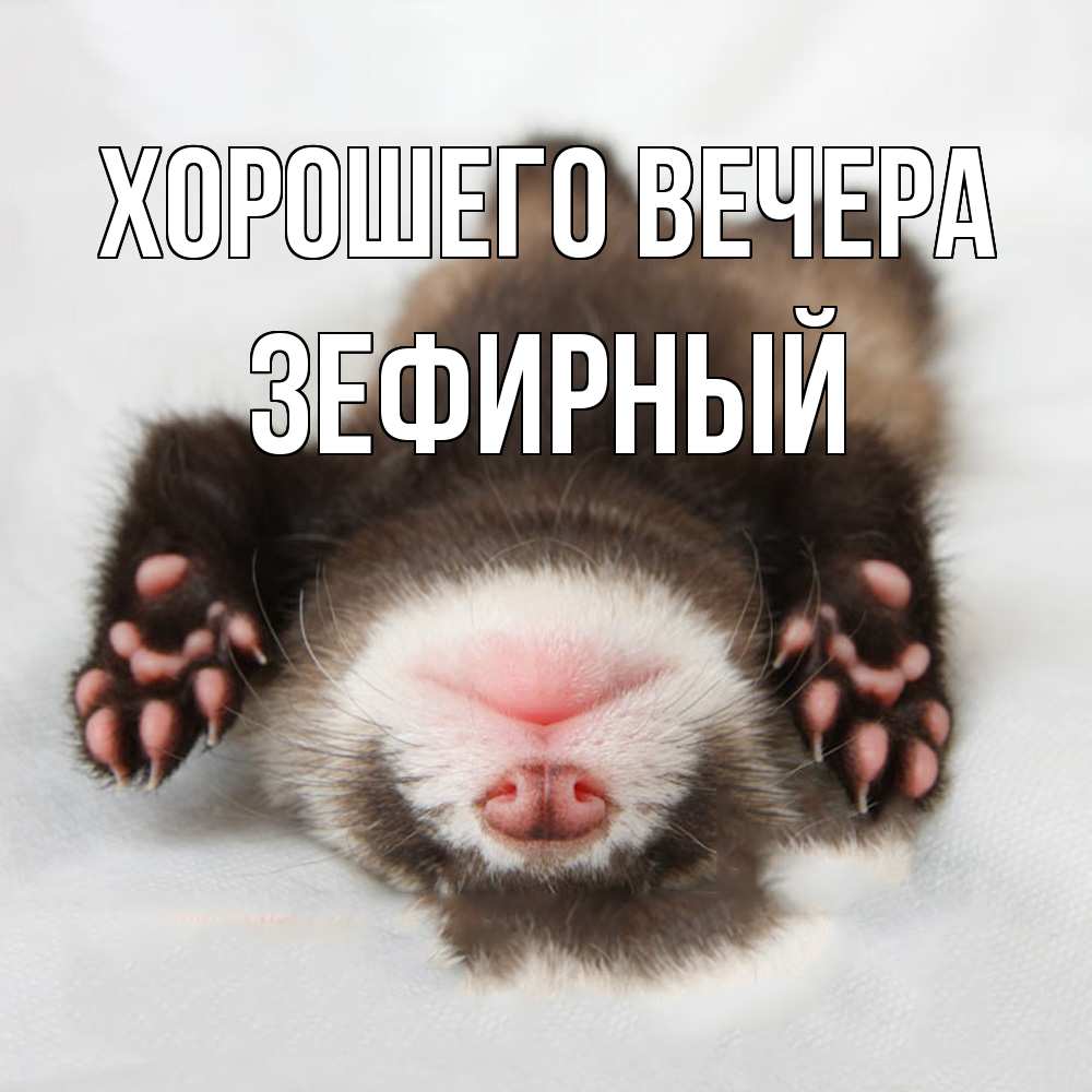 Открытка  для любимых и родных. зефирный, Хорошего вечера  