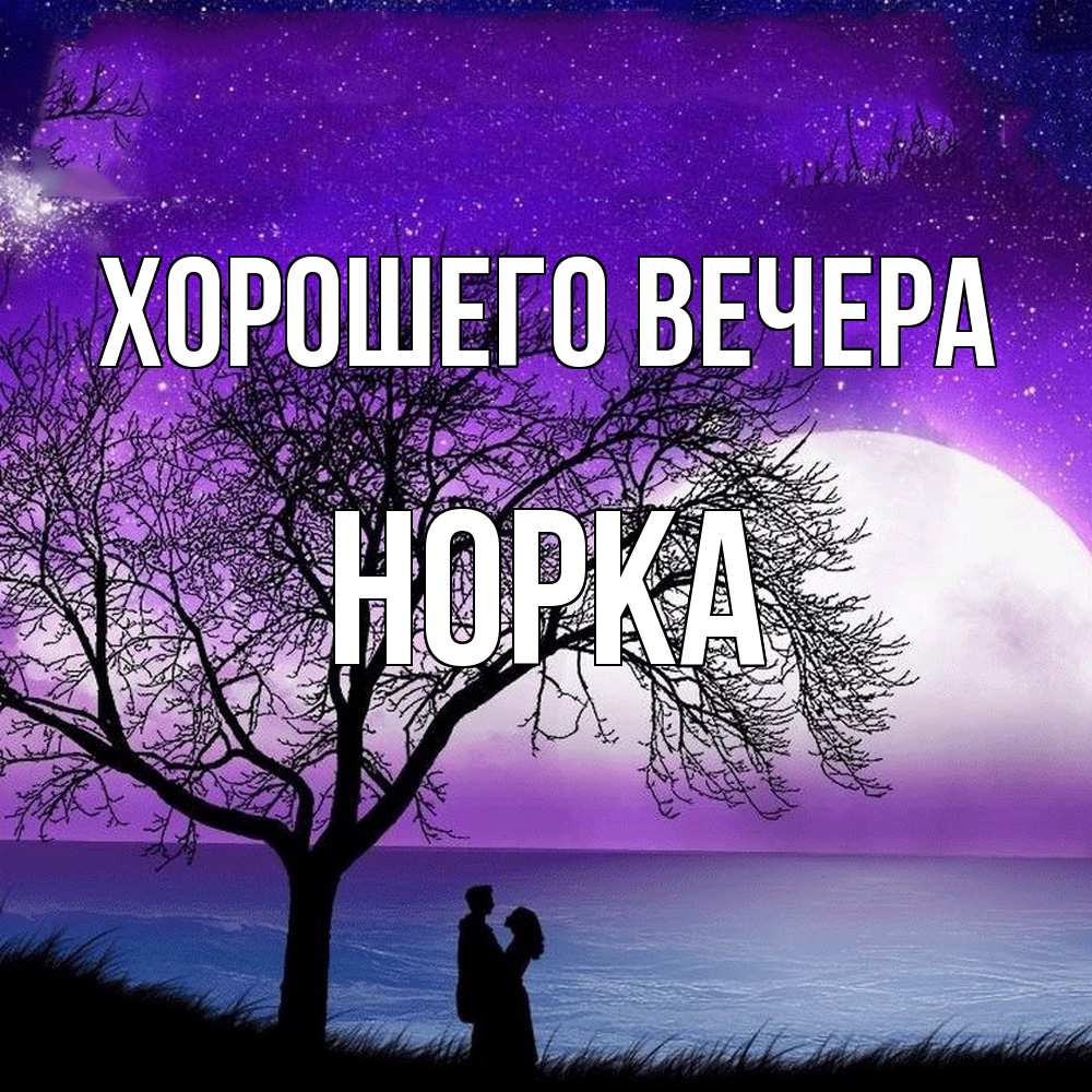 Открытка  для любимых и родных. норка, Хорошего вечера  