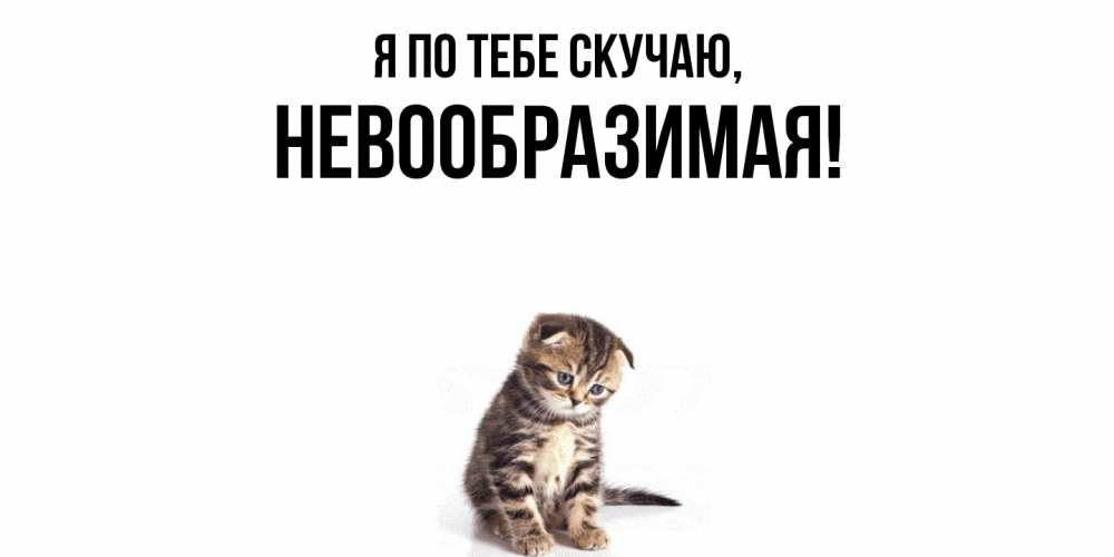 Открытка  для любимых и родных. невообразимая, Я по тебе скучаю  