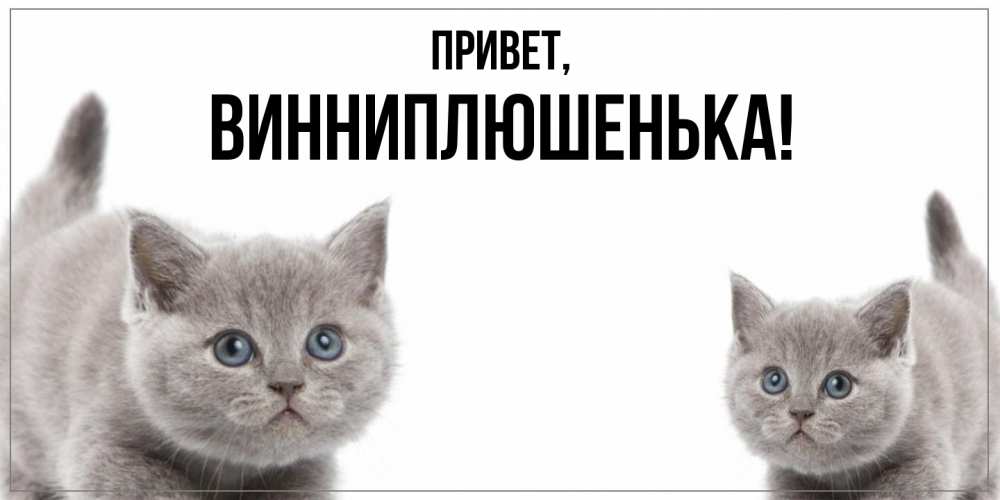 Открытка  для любимых и родных. винниплюшенька, Привет  