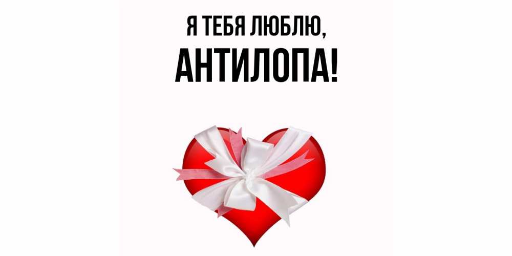 Открытка  для любимых и родных. антилопа, Я тебя люблю  