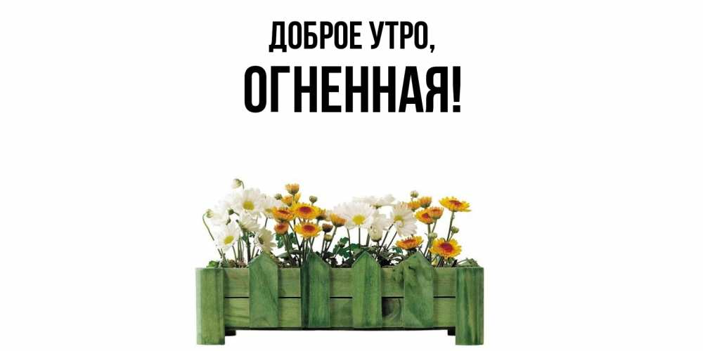 Открытка  для любимых и родных. огненная, Доброе утро  