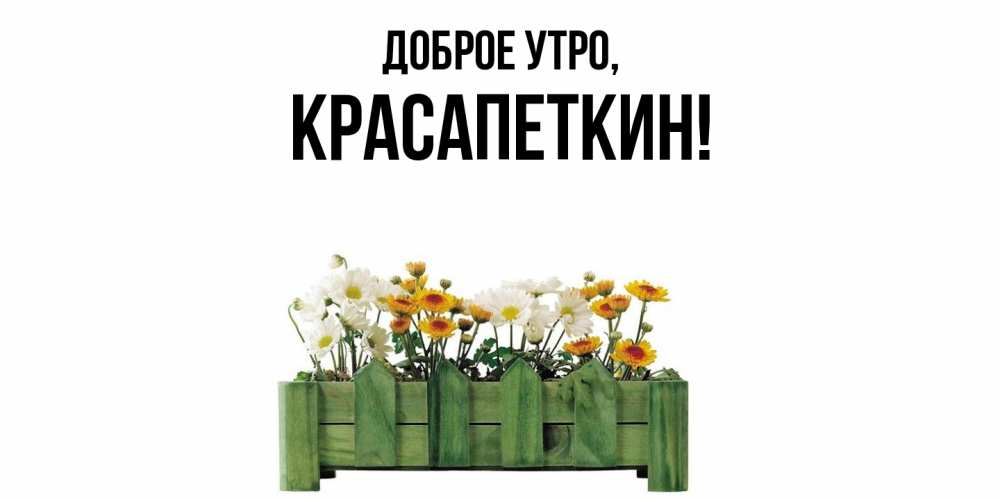 Открытка  для любимых и родных. красапеткин, Доброе утро  