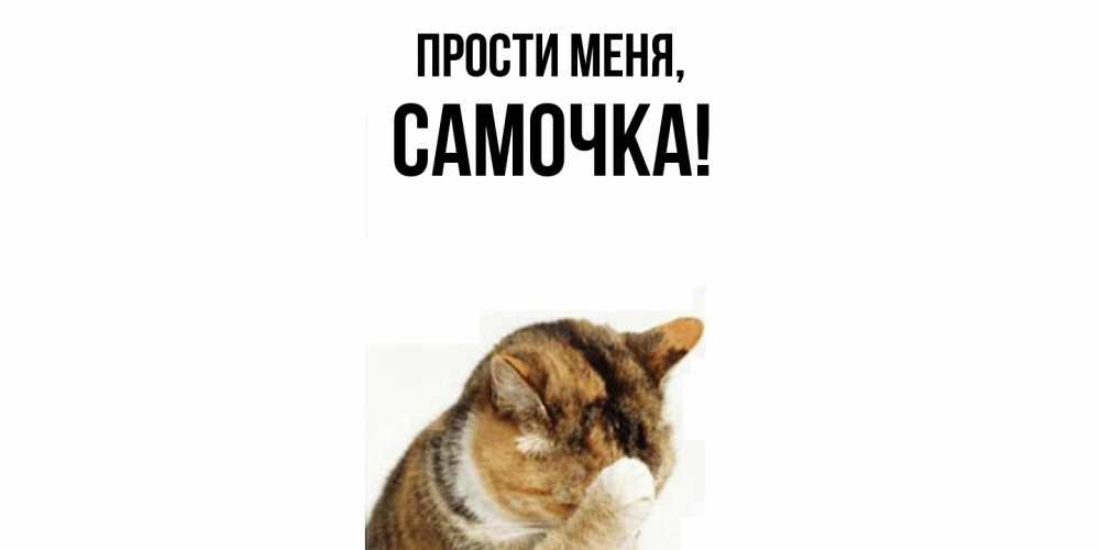 Картинка Прости меня, самочка