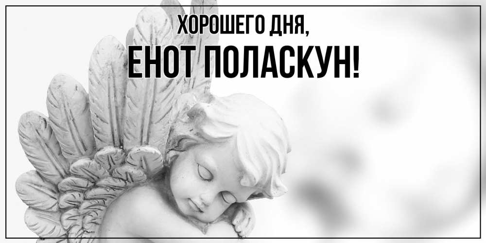 Открытка  для любимых и родных. енот, Хорошего дня  