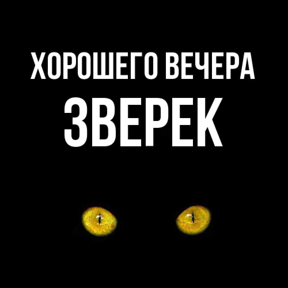 Открытка с именем, зверек, Хорошего вечера