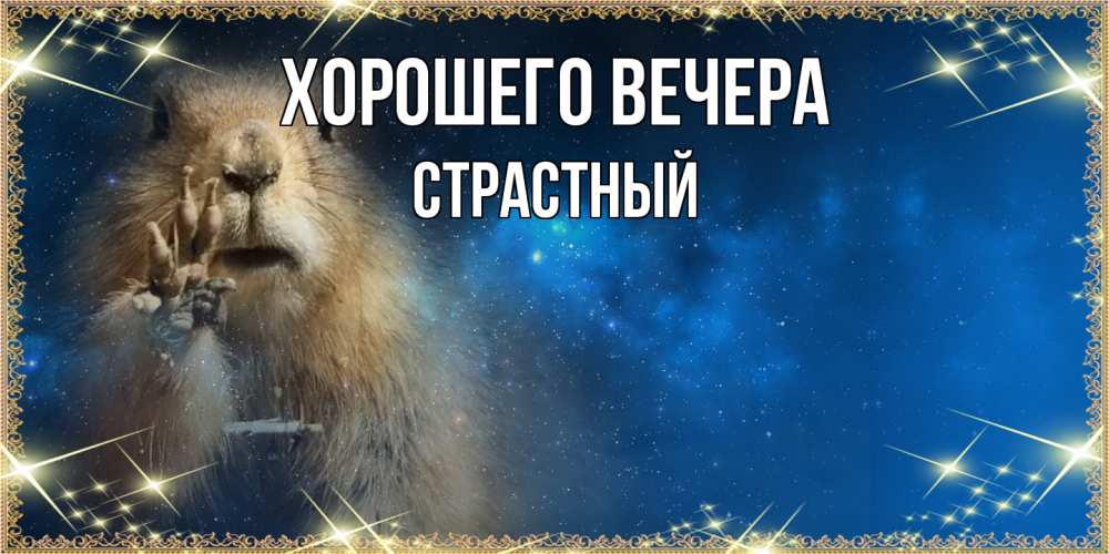 Открытка  для любимых и родных. страстный, Хорошего вечера  