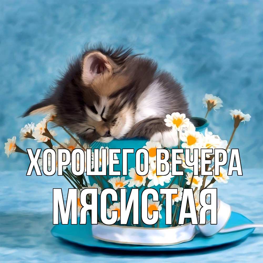 Картинка Хорошего вечера, мясистая