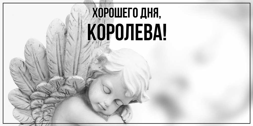 Открытка  для любимых и родных. коpолева, Хорошего дня  