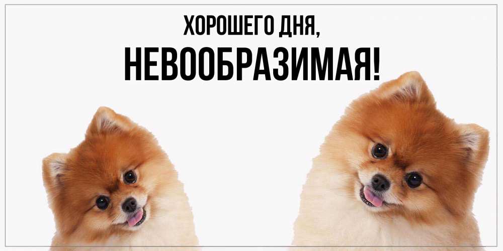 Открытка с именем, невообразимая, Хорошего дня