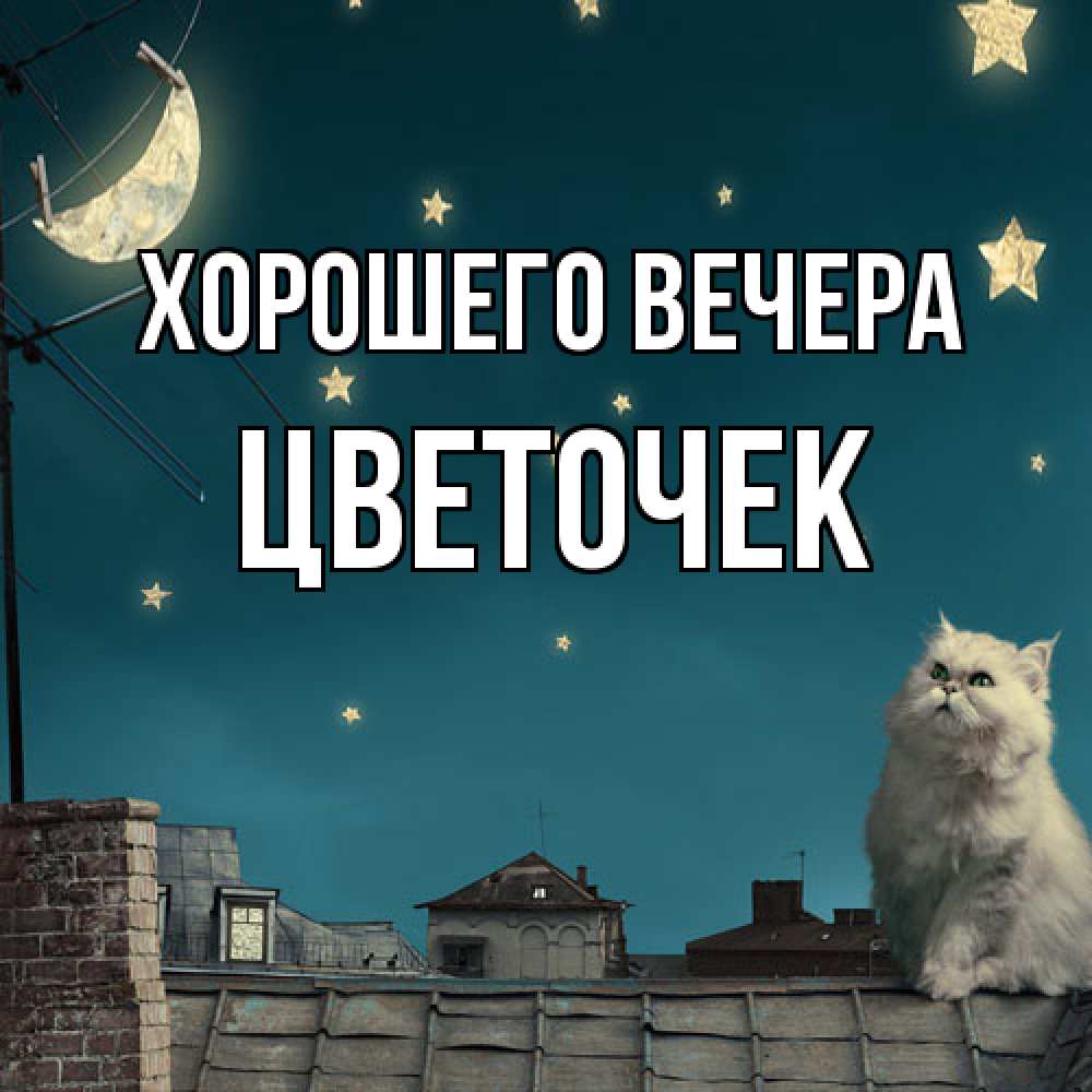 Открытка с именем, цветочек, Хорошего вечера