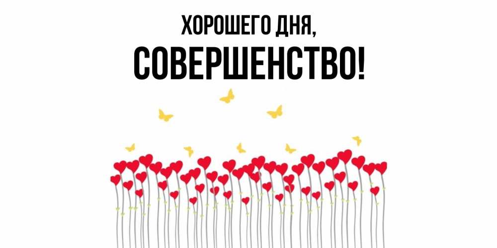 Открытка  для любимых и родных. совершенство, Хорошего дня  