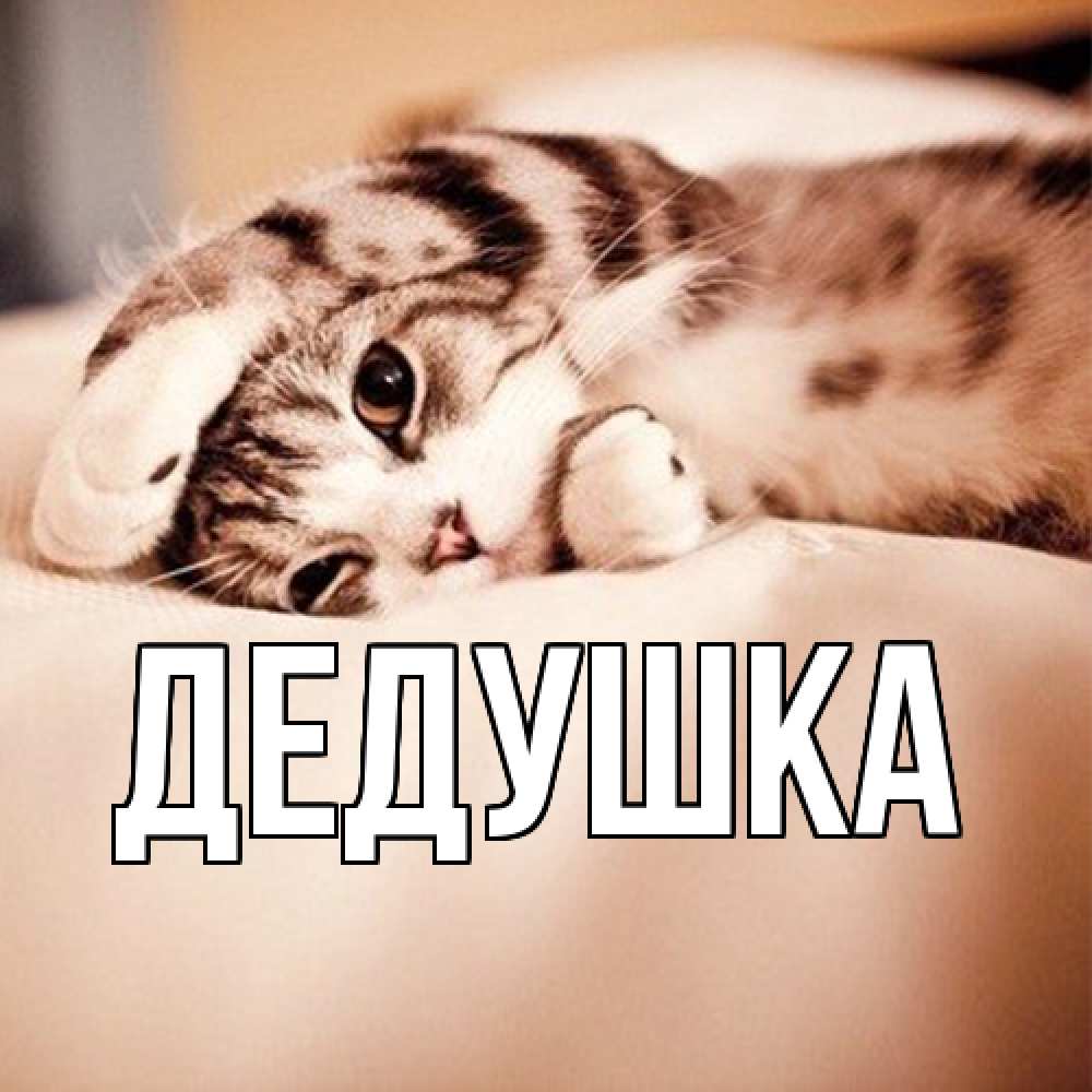 Открытка  для любимых и родных. Дедушка, Главная  