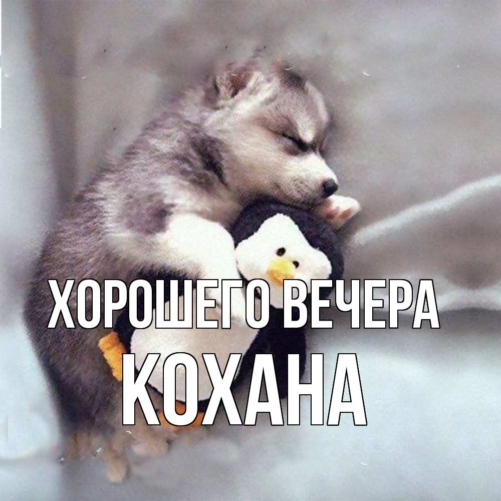 Картинка Хорошего вечера, кохана