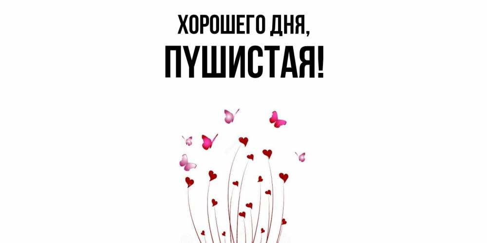 Открытка  для любимых и родных. пyшистая, Хорошего дня  