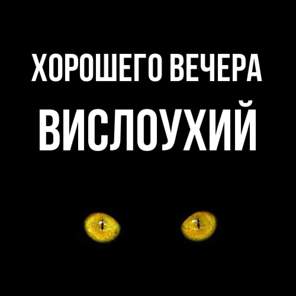 Открытка  для любимых и родных. вислоухий, Хорошего вечера  