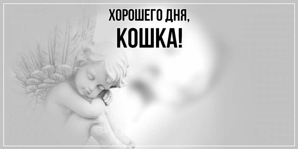 Открытка  для любимых и родных. кошка, Хорошего дня  